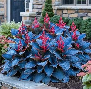 Хоста Грин Фог купить по цене от 669р. в интернет-магазине «Посадика» с доставкой почтой в в Нерчинске и по всей России – [изображение №1].