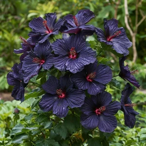 Гибискус Мэджик Момент купить по цене от 699р. в интернет-магазине «Посадика» с доставкой почтой в в Нерчинске и по всей России – [изображение №1].