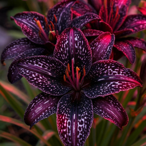 Лилейник Вояж купить по цене от 699р. в интернет-магазине «Посадика» с доставкой почтой в в Нерчинске и по всей России – [изображение №1].